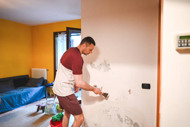 Best Bathroom Mold Remediation in Apalachin, NY